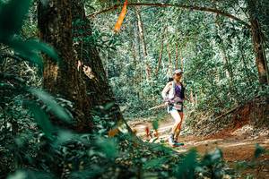 BIB: 
                            <button type="button" onclick="openModal(25395755)" class="btn btn-primary btn-sm float-right btn-popup" data-toggle="modal" data-target=".modal-high-quality">
                        <i class="fas fa-shopping-cart"></i> Add to Cart
                    </button>
                                            <button type="button" onclick="isThisMe(25395755, true)" class="btn btn-success btn-sm float-right btn-popup btn-isme hidden" data-toggle="tooltip" data-placement="bottom" title="นี่คือรูปของคุณใช่ไหม คลิกที่นี่เพื่อเอาเข้าอัลบั้ม">
                        <i class="fas fa-plus"></i> Add to album
                    </button>
                    <button type="button" onclick="isThisMe(25395755, false)" class="btn btn-warning btn-sm float-right btn-popup btn-isnotme hidden">
                        <i class="fas fa-ban"></i> Remove from album
                    </button>